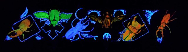 fluo22
